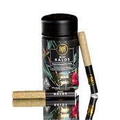 Maven Genetics | Paradiso Tropical | Mini Halos | Rosin Infused | 5pk