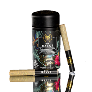 MAVEN GENETICS - Maven Genetics | Paradiso Tropical | Mini Halos | Rosin Infused | 5pk