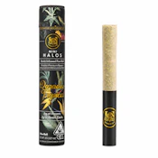Maven Genetics | Paradiso Tropical | Mini Halos | Infused | Single