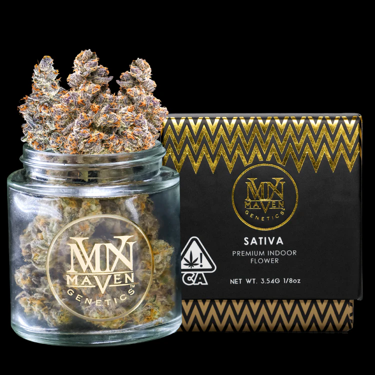 Maven Genetics - Maven Genetics - Shangri-La 3.5 Main Image