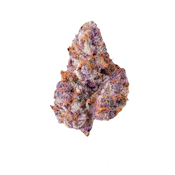 Maven Genetics | Lemon Cherry Tropicana | Smalls | 14g