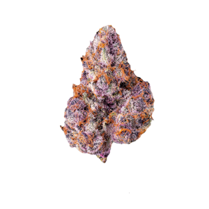 Maven Genetics - Maven Genetics | Lemon Cherry Tropicana | Smalls | 14g