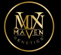 Marijuana Maven - Chem 51 3.5G Main Image
