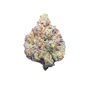 Maven Genetics | Pineapple Biscotti | Smalls | 14g