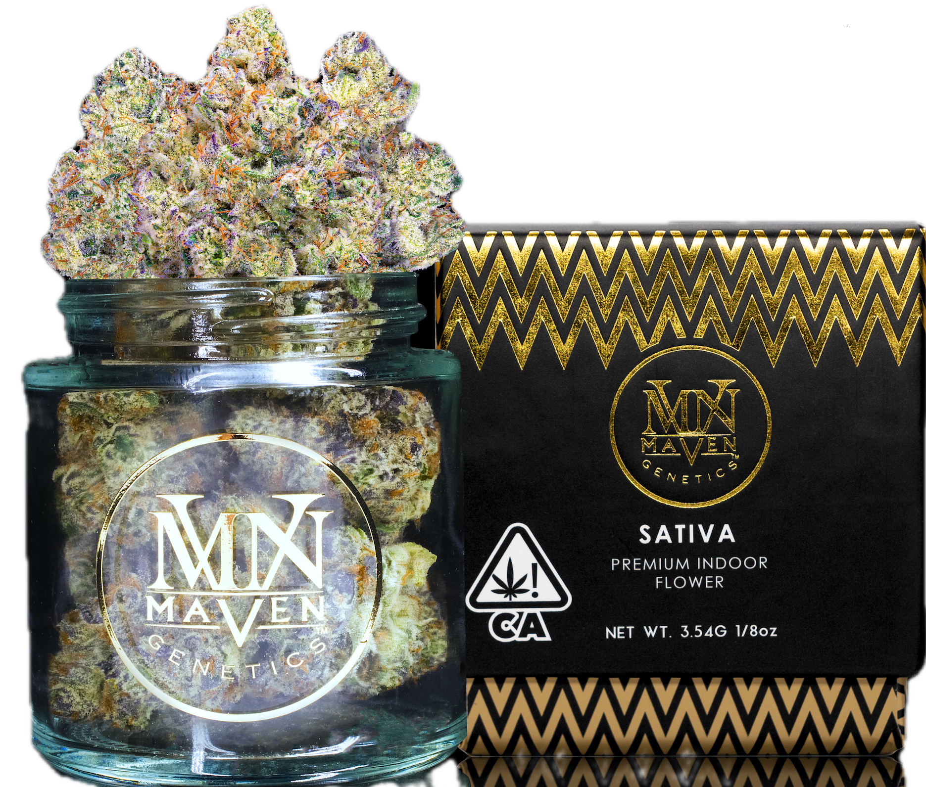 Maven Genetics | Pineapple Biscotti | 3.5g