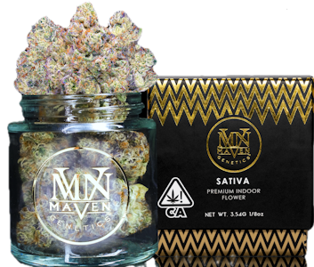 Maven Genetics - Maven Genetics | Pineapple Biscotti | 3.5g