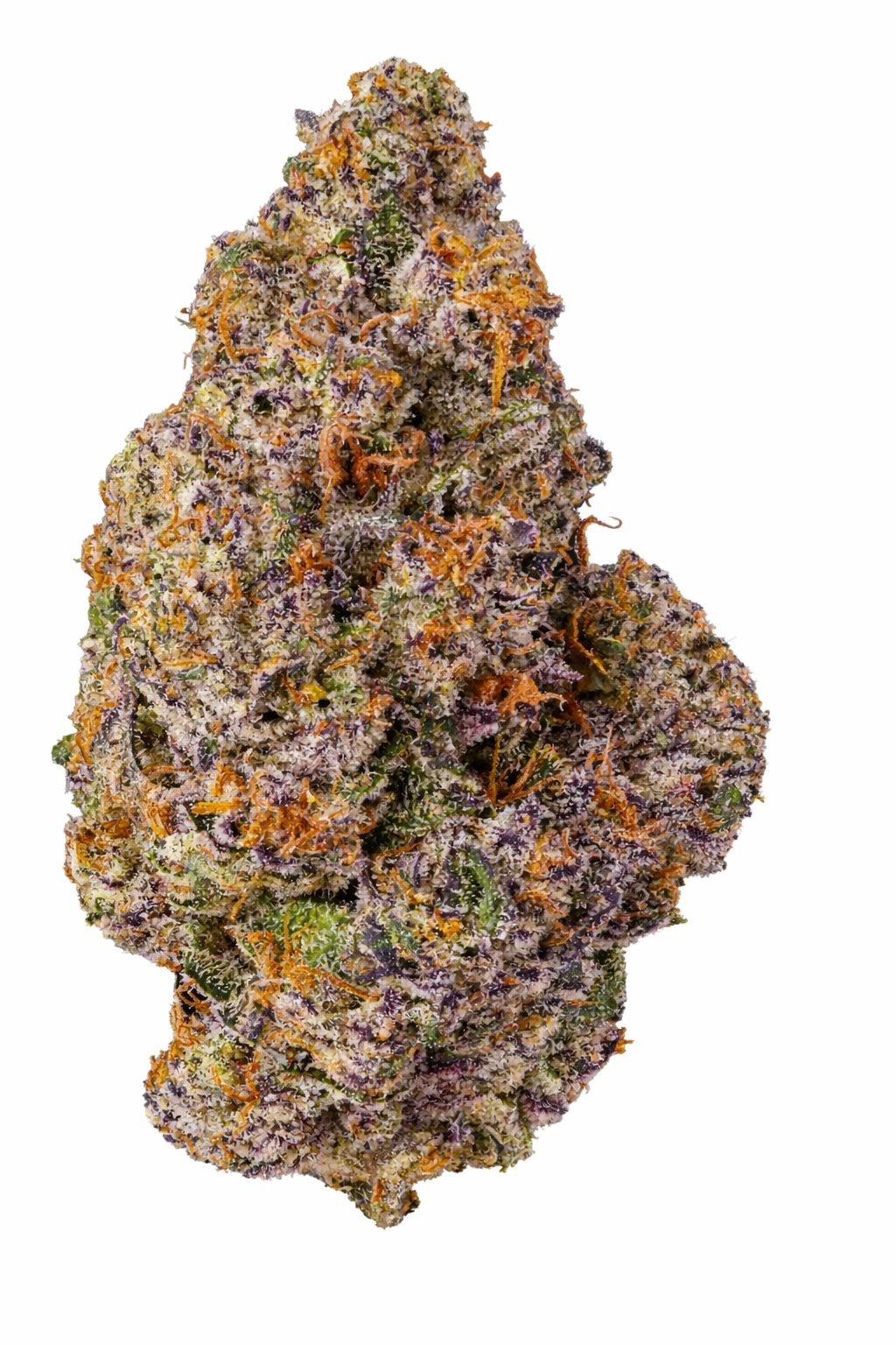 Maven Genetics R&D | Prizm x RS-X #5 | 3.5g