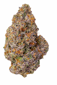 MAVEN GENETICS - Maven Genetics R&D | Prizm x RS-X #5 | 3.5g