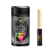 Maven Genetics | Prizmatic | Mini Halos | Rosin Infused | 5pk