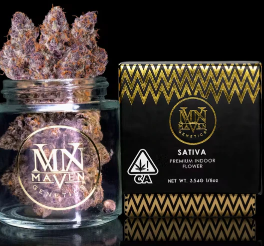 Marijuana Maven - Lemon Cherry Tropicana 3.5G Main Image