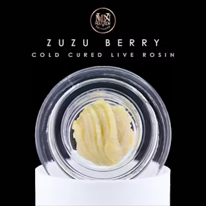MAVEN GENETICS - Maven Genetics | Zuzu Berry | Live Rosin