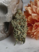 Mazama's Haze