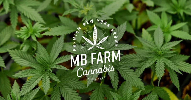 MB Farms - MB Farms - Jet Fuel Gelato - 3.5g Main Image