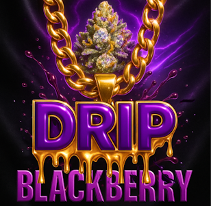 Mecca - Mecca Infused 5g Blackberry Drip