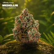 Medellin Flower T26.47% H 01028