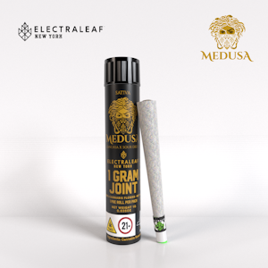ELECTRALEAF - Electraleaf | Medusa | Preroll 1g