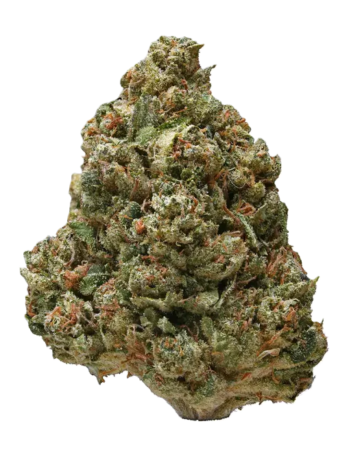 Dizgo - Dizgo | 3.5g Pre-Packaged Flower | Medusa  Main Image