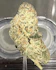 Product Preview Image 2