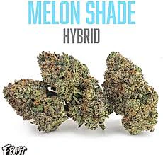 Frost - FROST - MELON SHADE 3.5G Main Image
