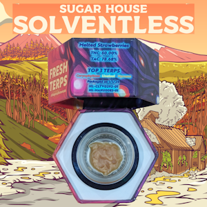 Sugarshack Melts - Sugarshack Melts | Melted Strawberries | Live Rosin | 1G