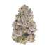 Product Preview Image 2