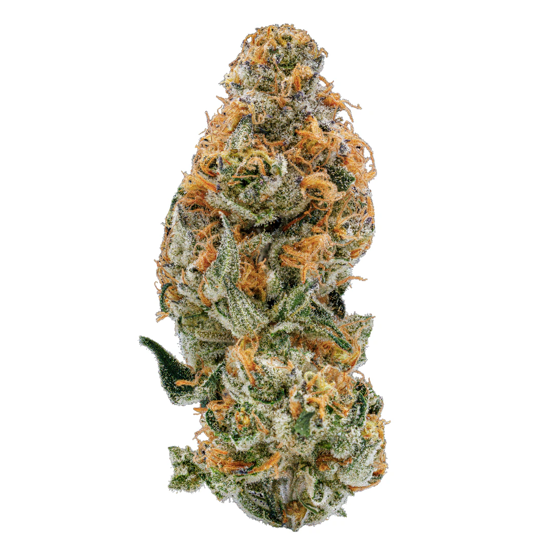 Umamii - Mendo Breath | Flower | 3.5g | Umamii Main Image