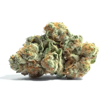 COASTAL ROOTS - Coastal Roots | Cap Kush | 3.5g Flower | 3.5g Total [H] Main Image