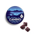 Camino: Midnight Blueberry "Sleep" Gummies 