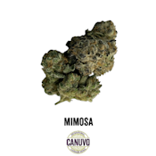 Canuvo | Mimosa | 14g [S]