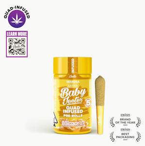 JEETER - Jeeter - Pre Roll Pack - Infused Baby Jeeter - Sativa - Mimosa - (2.5g total) 5 Pack