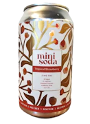 Mini Soda | Tropical Strawberry Seltzer | 5mg THC