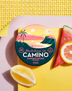 Watermelon Lemonade Gummies 100mg | Camino