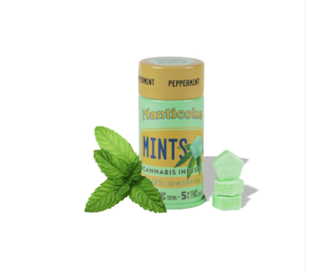 NANTICOKE - NANTICOKE | Peppermints | 20PK (5mg each)