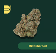 Mint Sherbert Flower - 3.5g