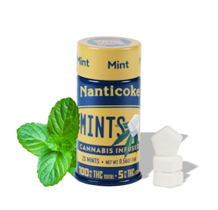 NANTICOKE - Mints | Edibles | 100mg/ 20 Pieces | Nanticoke