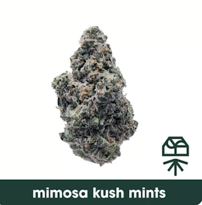 GRASSROOTS (NM) - Grassroots | Mimosa Kush Mints | 3.5G Hybrid 
