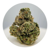 THC - Money Over Bitches Flower