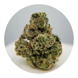 The Hempire Collective - THC - Money Over Bitches Flower Main Image
