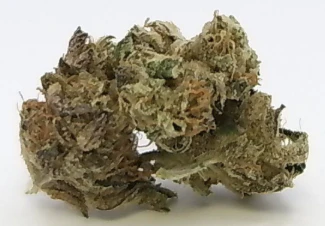 Emerald Fire Farms - Deli-Style-IX | Emerald Fire Farms | Mochi Melon Main Image