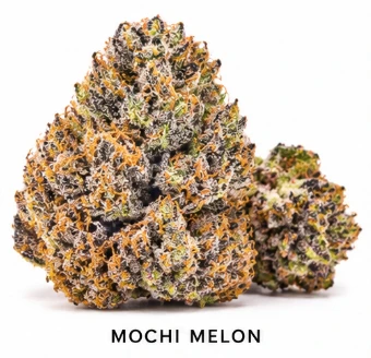 EMERALD FIRE (OK) - Mochi Melon- Deli Flower | Emerald Fire Main Image