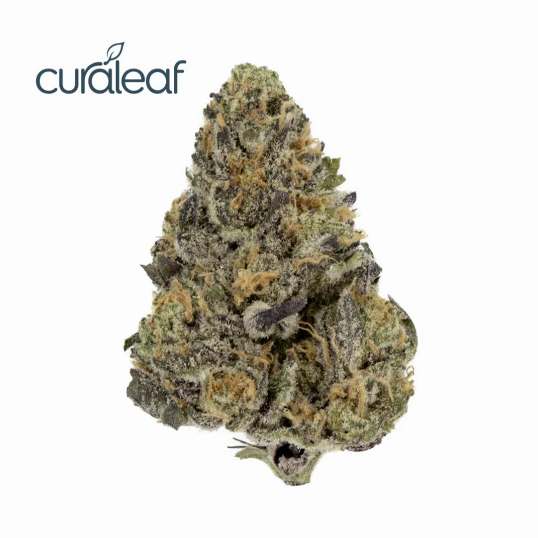 Curaleaf - Montana Silvertip (H) 00618 Main Image
