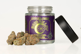 MOON VALLEY | ORANGE MALT | FLOWER | 3.5G