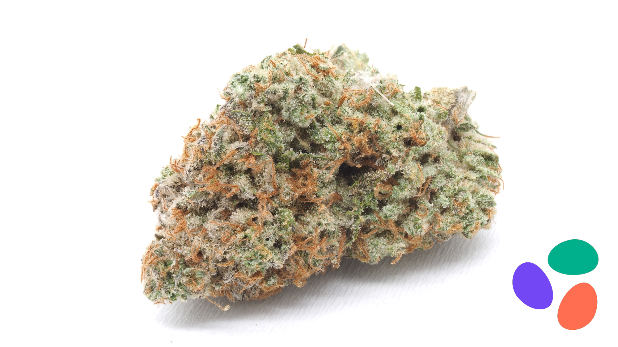 Moon Valley | Cherry Lime Dog Z | 3.5g