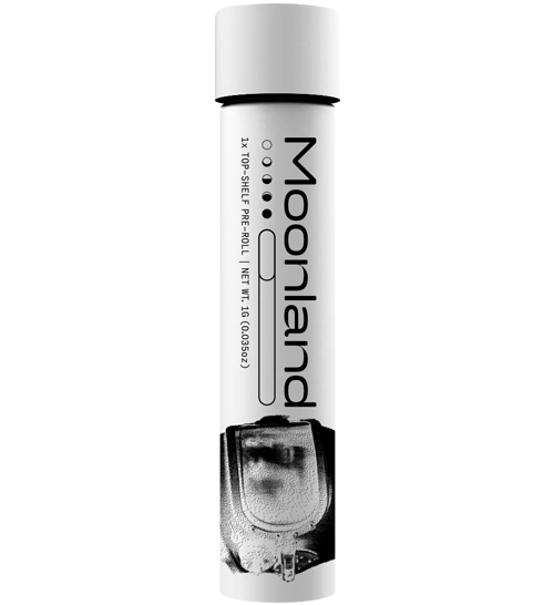 Moonland | Rozé | Single