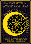 Moon Valley Cannabis - Super Runtz Half Gram Indoor Preroll Two Pack