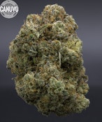 Canuvo | Moose & Lobsta | 3.5g [S]