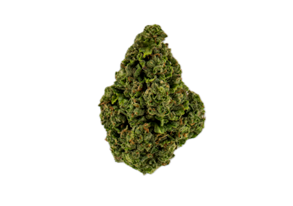 Live - LIVE - Mr. Grinch - 3.5G