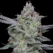 Ball Family Farms - Mrs. Parker - 4g Flower Mylar