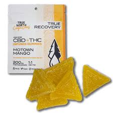 What You’ll Need: CBD Gummies Ingredients