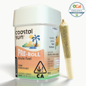 Coastal Sun - Pre Roll Pack - Indica - Mule Fuel - (3.5g) 10 pack
